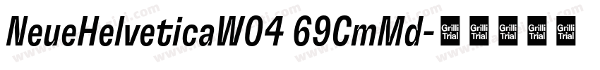 NeueHelveticaW04 69CmMd字体转换